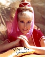 Barbara Eden - DREAM OF JEANNIE