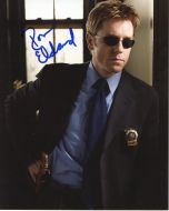 Ron Eldard from the TV series BLIND JUSTICE - (Earn 2 reward points on this item worth $0.50)