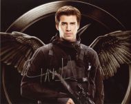 Liam Hemsworth from the movie HUNGER GAMES MOCKINGJAY PT 1 - (Earn 12 reward points on this item worth $3.00)