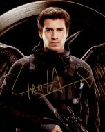Liam Hemsworth from the movie HUNGER GAMES MOCKINGJAY PT 1 - (Earn 12 reward points on this item worth $3.00)