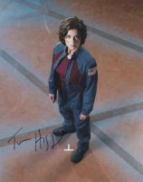 Cliquer pour agrandir