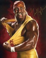 Hulk Hogan - (Earn 5 reward points on this item worth $1.25)