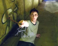 Daniel Radcliffe - HARRY POTTER - (Earn 20 reward points on this item worth £3.78)